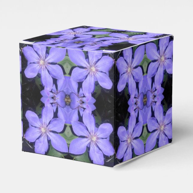 Ballotins Cé sarine (Verso)