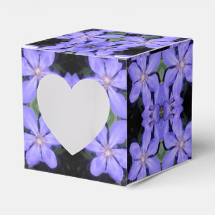 Ballotins Cé sarine