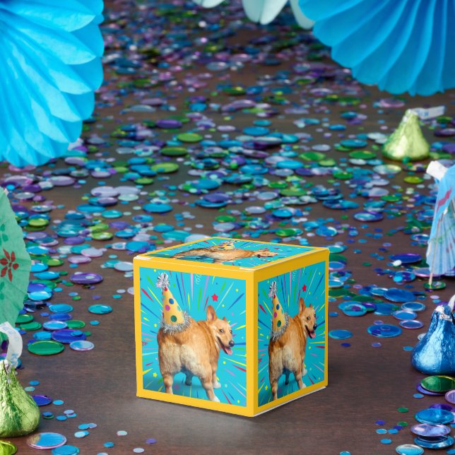Ballotins Chapeau d'anniversaire pour derrière de Corgi (Fête)