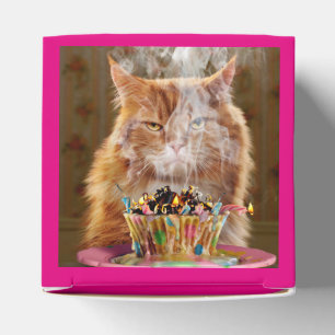 Ballotins Chat Cranky Drôle Avec Cupcake D'Anniversaire Fon