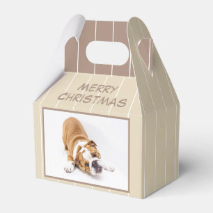 Ballotins Chien de Noël Chien Chien Chien Chien Chien Chien 