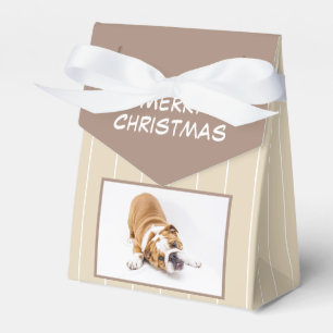Ballotins Chien de Noël Chien Chien Chien Chien Chien Chien 