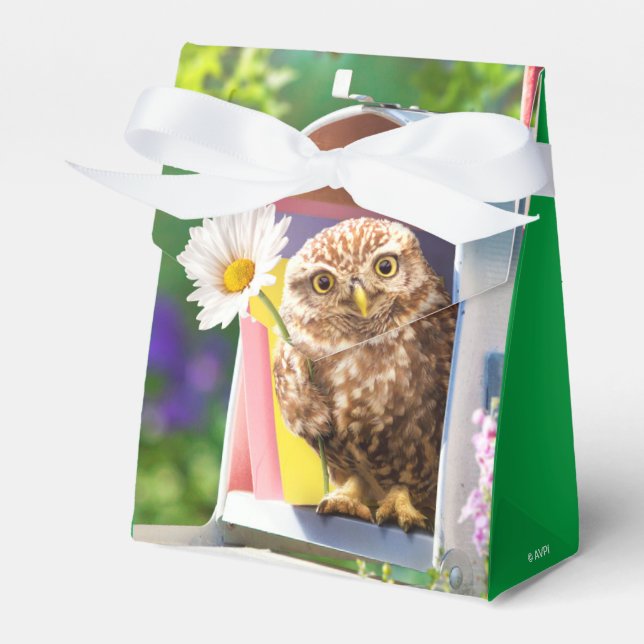 Ballotins Chouette Avec Fleur Dans Boîte Aux Lettres (Verso)