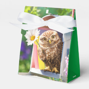Ballotins Chouette avec fleurs dans la boîte aux lettres