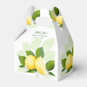 Ballotins Citrons Fruit Citron Botanique