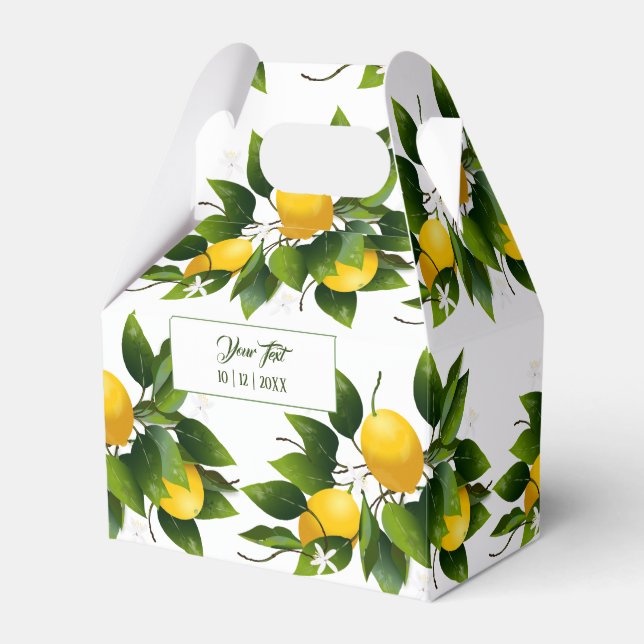 Ballotins Citrus citron vert fruité (Verso)