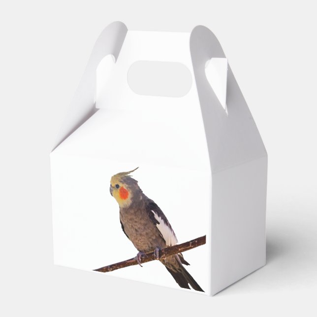 Ballotins Cockatiel gris et jaune Pet Oiseau couleur photo (Verso)