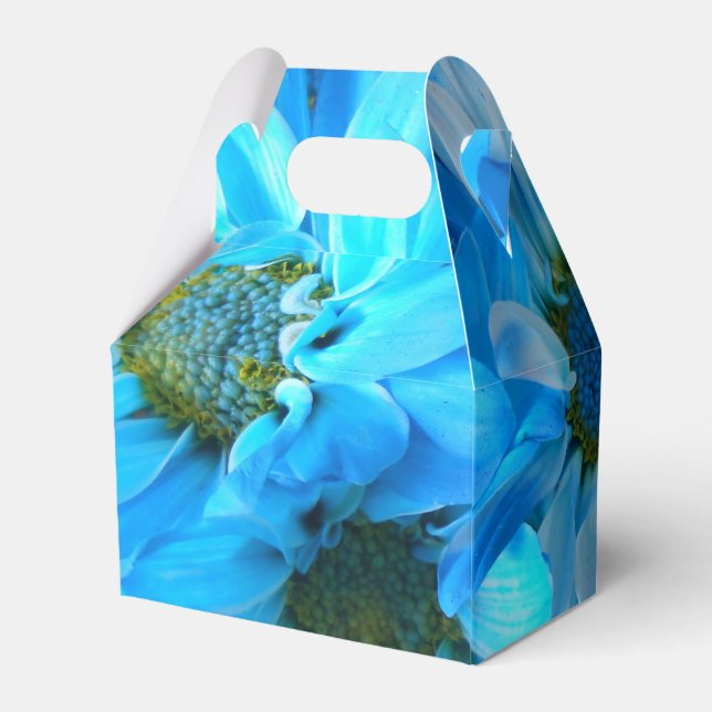 Ballotins Collaert (Arrière)