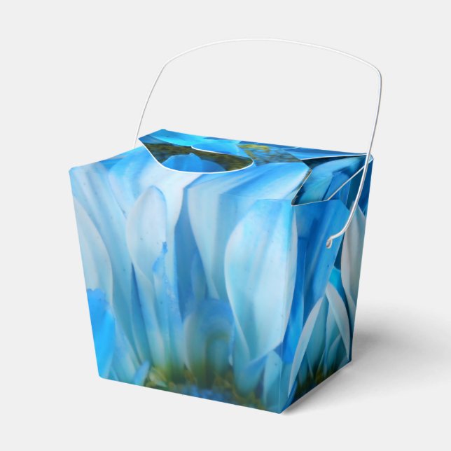 Ballotins Collaert (Verso)