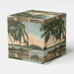 Ballotins Coucher de soleil de brise tropicale vintage de co