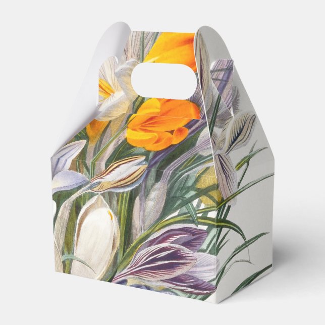 Ballotins Crocus Spring Flower Botanique Floral Art (Verso)