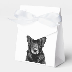 Ballotins Cuisine Labrador Chien noir Chien Chien Chien Chie