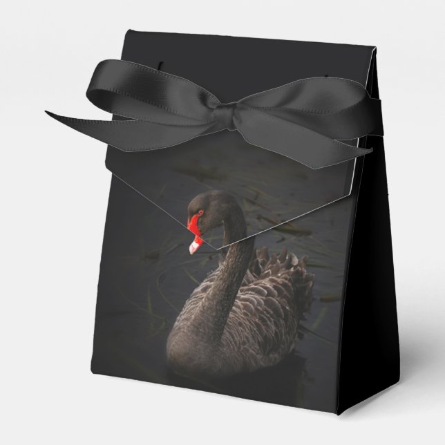 Ballotins Cygne noir (Verso)