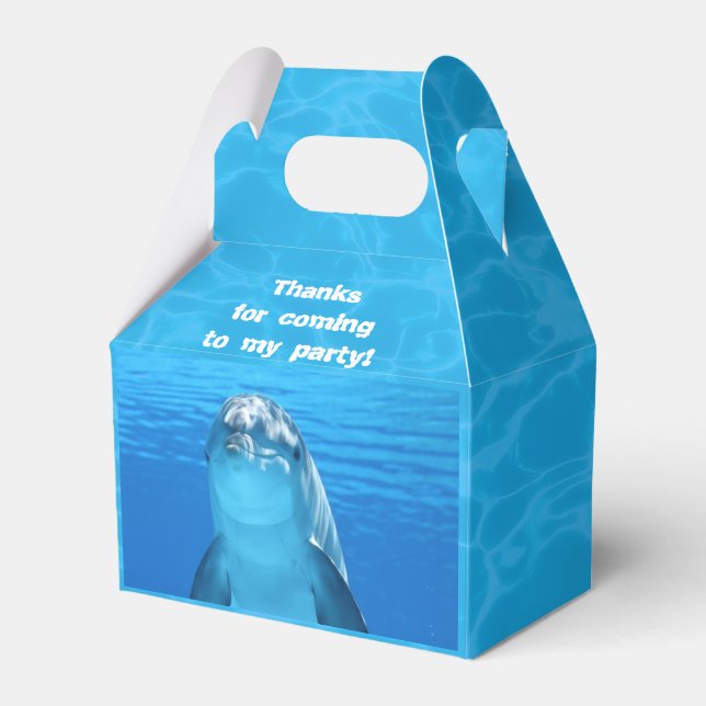 Ballotins Dauphin Anniversaire Jardin Pool Party (Verso)