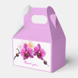 Ballotins Dawn Bloom Orchid