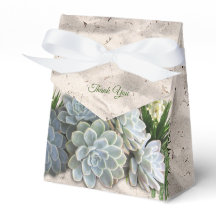 Des teintes succulentes de blues pâles