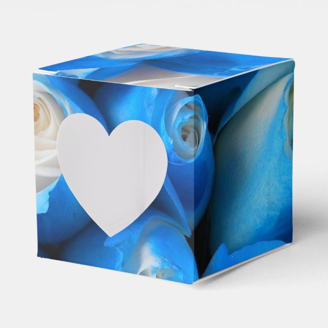 Ballotins Diemudis (Verso)