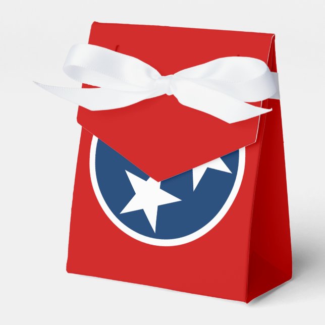 Ballotins Drapeau d'état du Tennessee Bleu Blancs étoiles (Verso)
