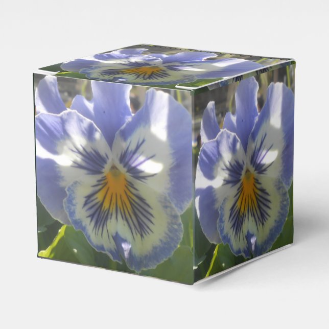 Ballotins Eloise (Verso)