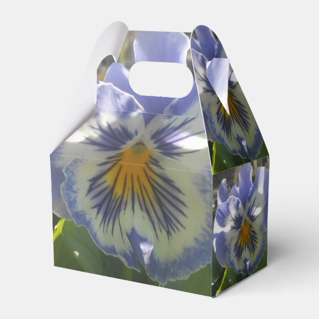 Ballotins Eloise (Verso)