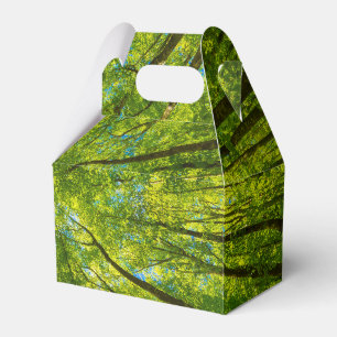 Ballotins En regardant à travers les feuilles d'arbres verts