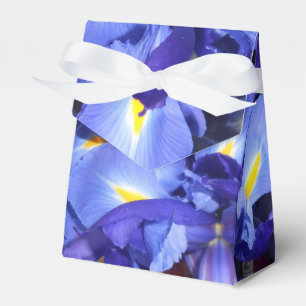 Ballotins Ermengarde