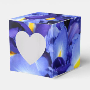 Ballotins Ermengarde