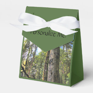 Ballotins Eucalyptus gommiers de la forêt pluviale australie