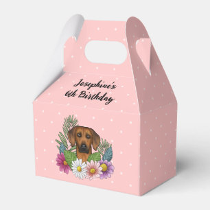 Ballotins Fête d'anniversaire avec un chien Rhodesian Ridgeb