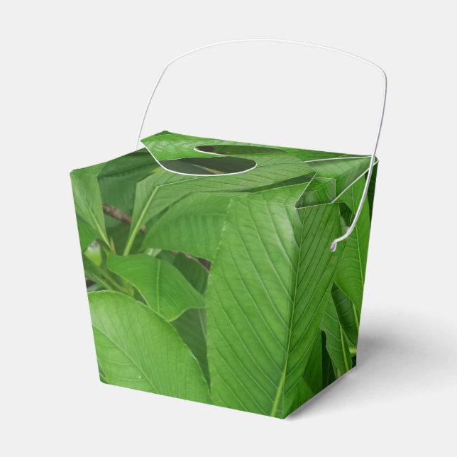 Ballotins Feuilles vertes Sortir Ballotin (Verso)