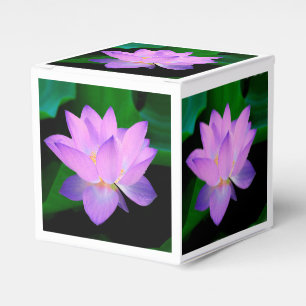 Ballotins Fleur de Lotus