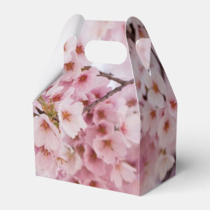 Ballotins Fleurs de cerisier