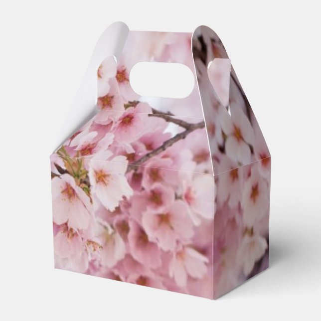 Ballotins Fleurs de cerisiers (Verso)