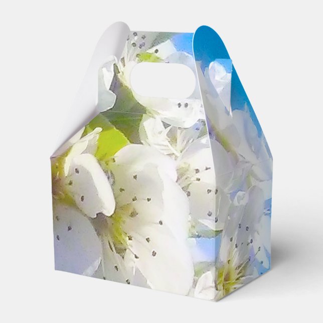Ballotins Fleurs de poires (Verso)