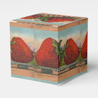 Fraises Giant Fruit Antique Fruit Amusant