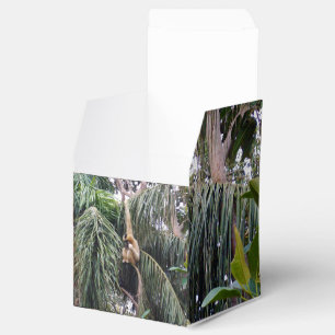 Ballotins Gibbon Monkey Just Chillin, Favoriser Party Box