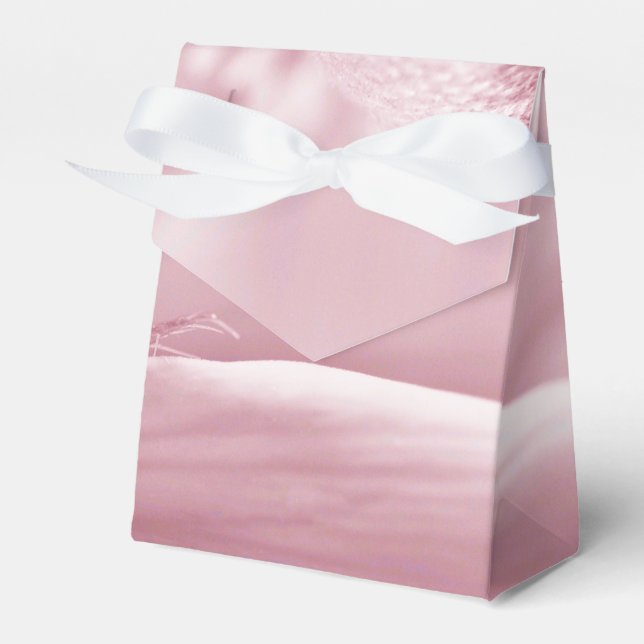 Ballotins Gloriosa Daisy Macro (Verso)