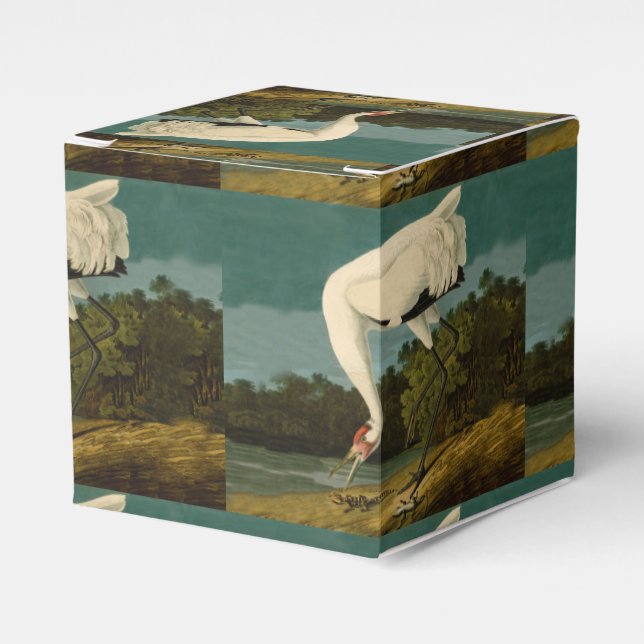 Ballotins Grue blanche Audubon Peinture d'oiseaux (Verso)