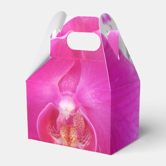 Ballotins Guda (Verso)