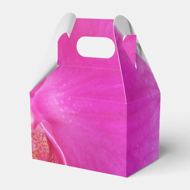 Ballotins Guda (Verso)