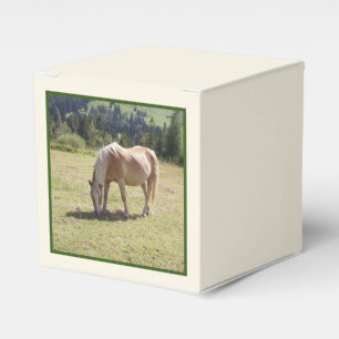 Ballotins Haflinger Palomino Pony en été Pony Photo
