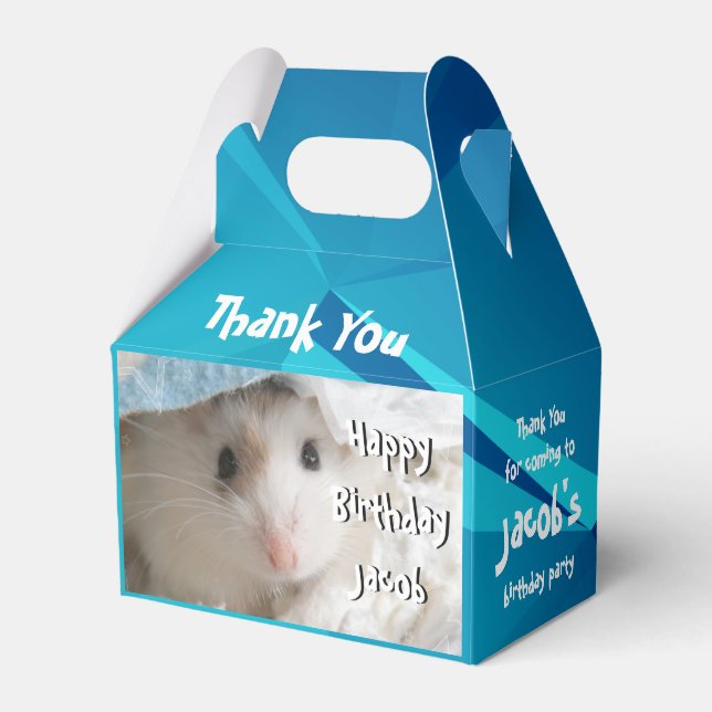 Ballotins Hammyville - Cute Hamster (Verso)