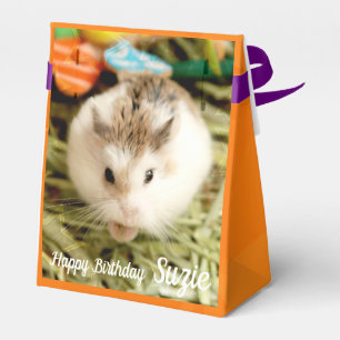 Ballotins Hammyville - Cute Hamster
