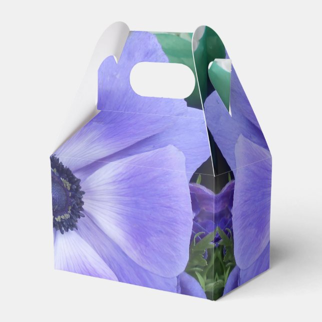 Ballotins Henrietta (Verso)