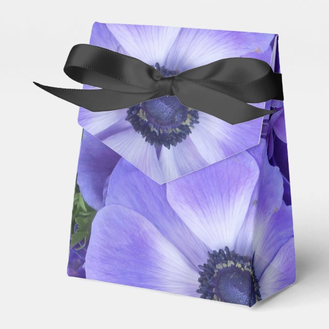 Ballotins Henrietta (Verso)