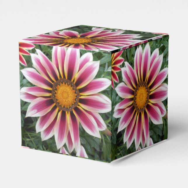 Ballotins Hereford (Verso)