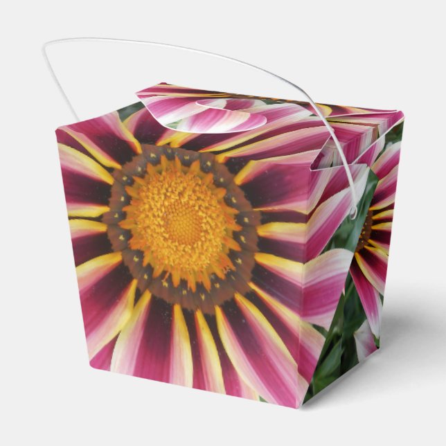 Ballotins Hereford (Arrière)