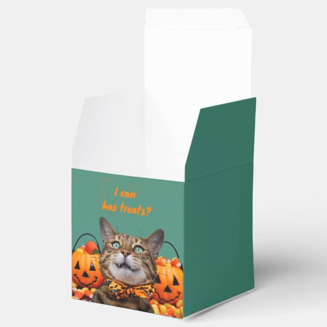 Ballotins i Can A Traitements Ballotin de chat (Ouvert)