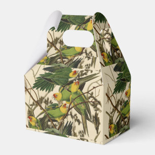 Ballotins Illustration Audubon Carolina Parrot Bird