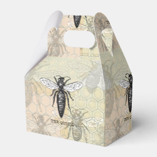 Ballotins Illustration d'antiquité de l'insecte de la reine